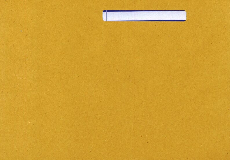 IRLENVPS IRIS PAYSLIP ENVELOPES PEEL & SEAL