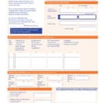 IRL P60 Top Copy 2025 1TV