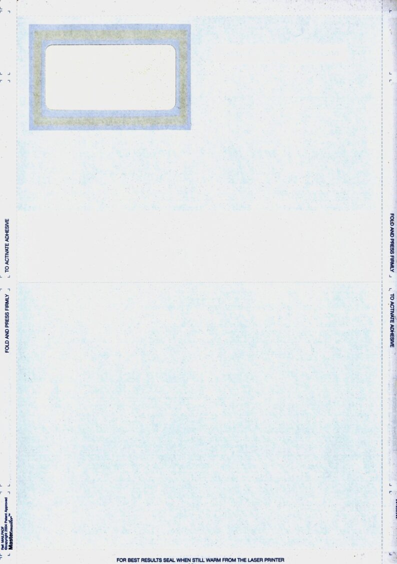 PEGASUS PLAIN PAYSLIP