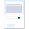 RS36 - SAGE COMPATIBLE TAPE SEAL SECURITY PAYSLIP MAILER - VARIOUS PACK SIZES
