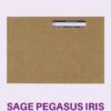 IRLPAYENV - IRIS MANILLA PEEL and SEAL WAGE ENVELOPE - NAME ONLY - VARIOUS PACK SIZES