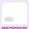 PADENV - PAD PAYSLIP ENVELOPE (PEEL AND SEAL) - NAME & ADDRESS - VARIOUS PACK SIZES