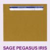 IRLENV-PS - IRIS MANILLA PEEL & SEAL PAYSLIP ENVELOPE - NAME ONLY - VARIOUS PACK SIZES