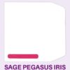 SAGENV46 - SELF SEAL SAGE WAGE ENVELOPE - NAME ONLY - VARIOUS PACK SIZES