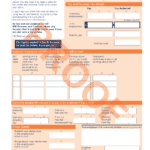 P60_Single_Sheet_2025_2026 PROOF