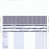 IRIS SELF SEAL SECURITY LASER PAYSLIP