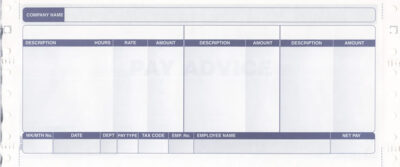 SAGE COMPATIBLE SECURITY PAYSLIP