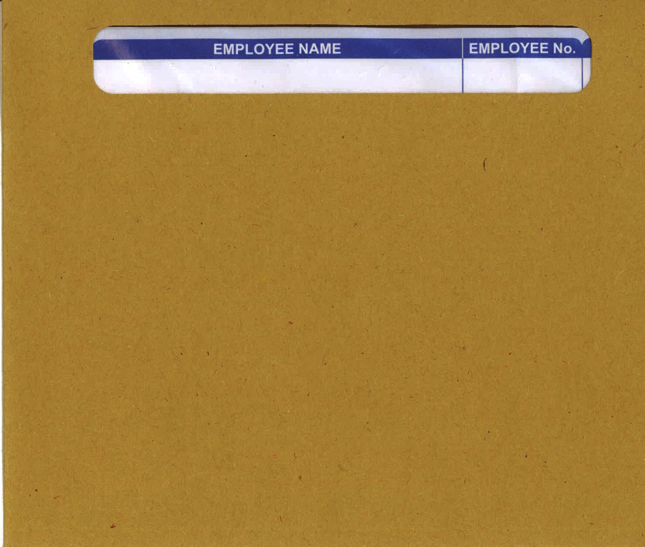 PS45 PEGASUS WAGE ENVELOPE Shows employee name only