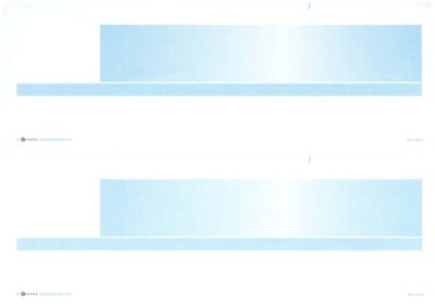 ACC105 ACCESS LASER PAYSLIP