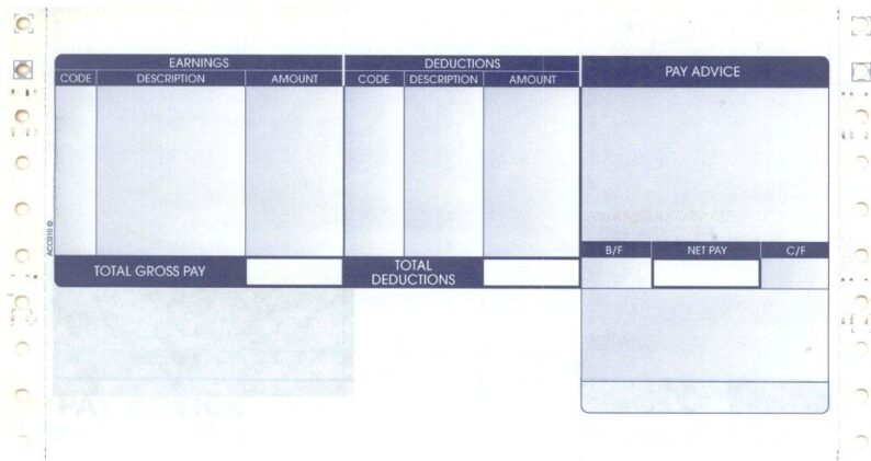 ACCESS 3 PART SECURITY PAYSLIP