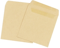 Manilla WAGE ENVELOPE