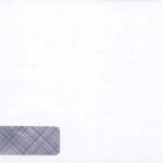 INTEX PAYSLIP ENVELOPE