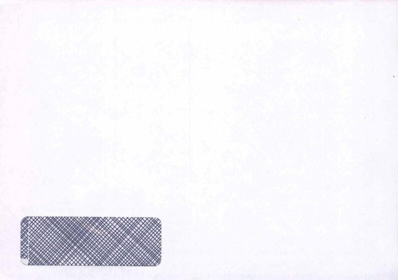 INTEX PAYSLIP ENVELOPE