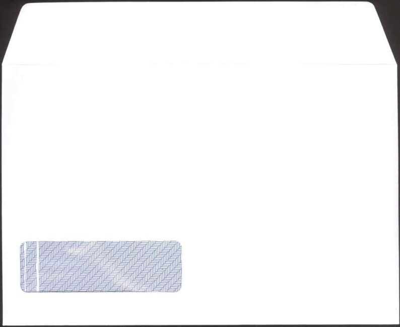 PEG650 PEGASUS PAYSLIP ENVELOPE