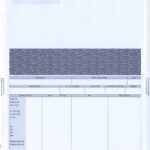 IRIS SELF SEAL PAYSLIPS